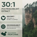 jungle-powders-fadogia-agrestis-powder-f-6.jpg