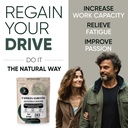 jungle-powders-men-s-health-vitality-bun-3.jpg