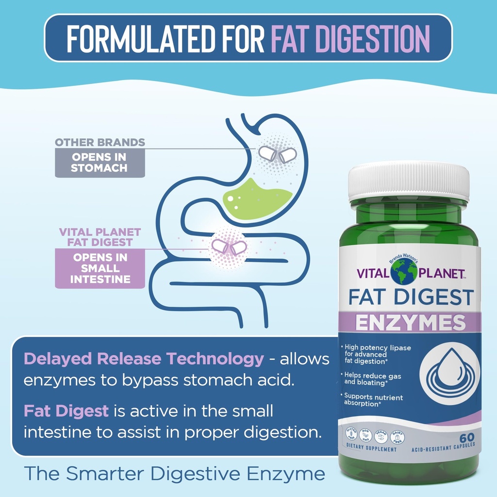 vital-planet-digestive-enzymes-fat-diges-4.jpg