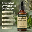 lymphoria-lymphatic-drainage-drops-lymph-2.jpg