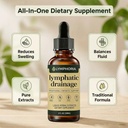 lymphoria-lymphatic-drainage-drops-lymph-4.jpg