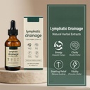 lymphoria-lymphatic-drainage-drops-lymph-2.jpg