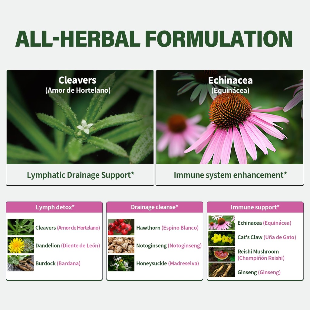cleavers-herb-extract-lymphatic-drainage-4.jpg