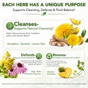 lymphatic-drainage-supplements-21-in-1-l-3.jpg