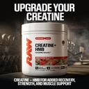 raw-creatine-plus-hmb-blue-raspberry-cre-6.jpg