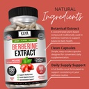kaya-naturals-berberine-hcl-extract-1200-5.jpg