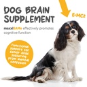 maxxipaws-maxxisame-advanced-sam-e-powde-3.jpg