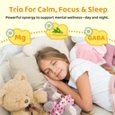 2-pack-liposomal-gaba-l-theanine-drops-f-6.jpg
