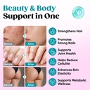 venture-pal-collagen-burn-powder-for-met-5.jpg