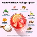 venture-pal-collagen-burn-powder-for-met-4.jpg