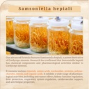 cheezhenghimalaya-cordyceps-capsules-imm-4.jpg