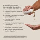 stonehenge-health-dynamic-brain-dynamic--6.jpg