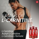 isatori-l-carnitine-ls3-3000-liquid-l-ca-3.jpg
