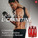 isatori-l-carnitine-ls3-1500-triple-blen-3.jpg