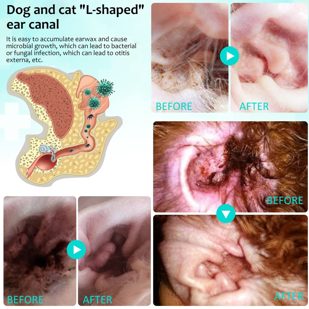 zodenis-ear-mite-treatment-for-dogs-cats-3.jpg