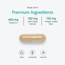 vitanica-immune-symmetry-immune-system-s-4.jpg