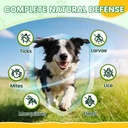 flea-and-tick-prevention-for-dogs-chews--4.jpg