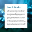 nature-s-sunshine-energ-v-herbal-blend-t-5.jpg