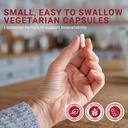 liposomal-fisetin-150mg-60-vegan-capsule-5.jpg