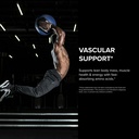 designs-for-sport-amino-complex-supports-4.jpg
