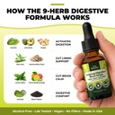 serene-herbs-soursop-digestive-reset-dro-2.jpg
