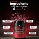 loveable-bites-creatine-monohydrate-gumm-4.jpg