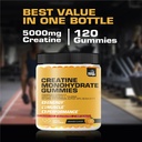 creatine-monohydrate-gummies-5g-for-men--2.jpg