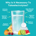 venture-pal-electrolyte-drink-mix-combo--5.jpg