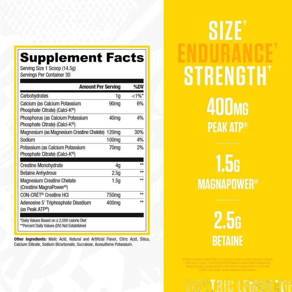 ryse-loaded-creatine-for-men-women-elect-2.jpg