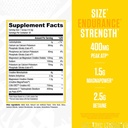 ryse-loaded-creatine-for-men-women-elect-2.jpg