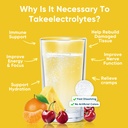 venture-pal-sugar-free-electrolyte-powde-6.jpg