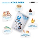 umzu-zucollagen-multi-collagen-protein-p-3.jpg