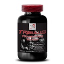 vitality-and-energy-tribulus-terrestris--2.jpg