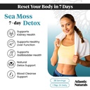 atlantic-naturals-sea-moss-superfood-bun-4.jpg