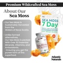atlantic-naturals-sea-moss-superfood-bun-3.jpg