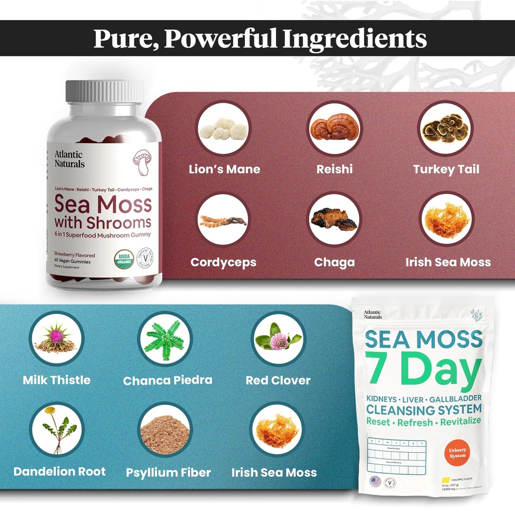 atlantic-naturals-sea-moss-superfood-bun-2.jpg