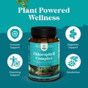 bundle-of-liver-cleanse-detox-repair-mil-3.jpg