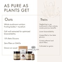 anima-mundi-apothecary-chaga-mushroom-po-3.jpg