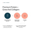 gainful-collagen-whey-protein-powder-swe-3.jpg