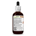 amla-alcohol-free-extract-glycerite-for--3.jpg