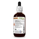 amla-alcohol-free-extract-glycerite-for--2.jpg