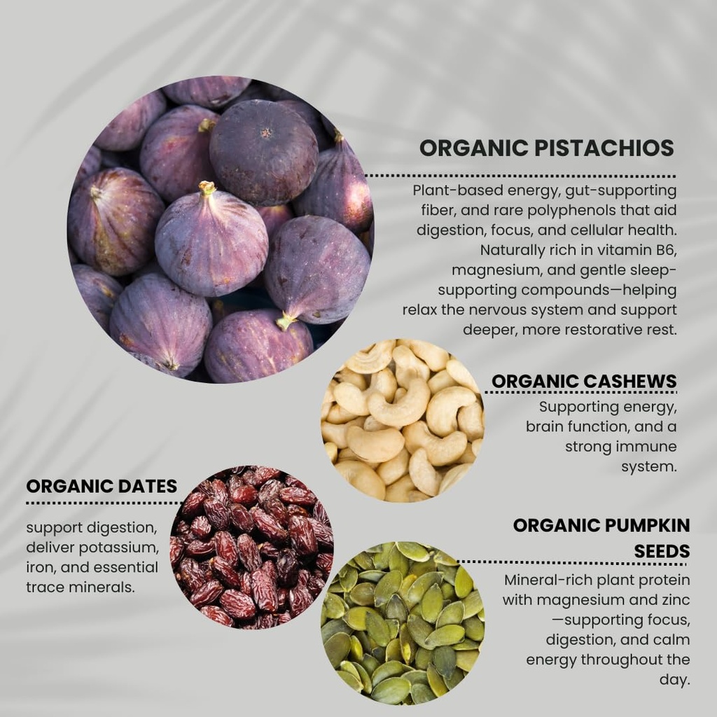 arti-bar-fig-whole-food-energy-bar-vegan-2.jpg