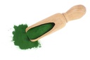 food-to-live-organic-spirulina-powder-8--5.jpg