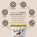 designer-wellness-designer-whey-natural--5.jpg