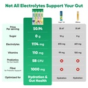 venture-pal-2-in-1-hydration-electrolyte-3.jpg