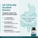 vitasei-happy-flora-probiotic-supplement-4.jpg