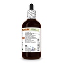 hawaii-pharm-lomatium-alcohol-free-extra-2.jpg