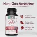 zhou-dihydroberberine-100-mg-supplement--3.jpg