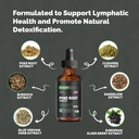 poke-root-complex-drops-6-in-1-tincture--5.jpg