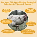 selenium-and-vitamin-e-powder-for-chicke-3.jpg
